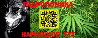 дмт Бийск