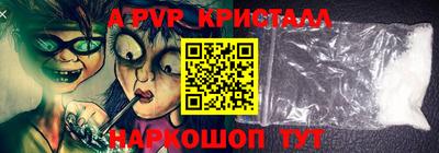 шишки Берёзовский