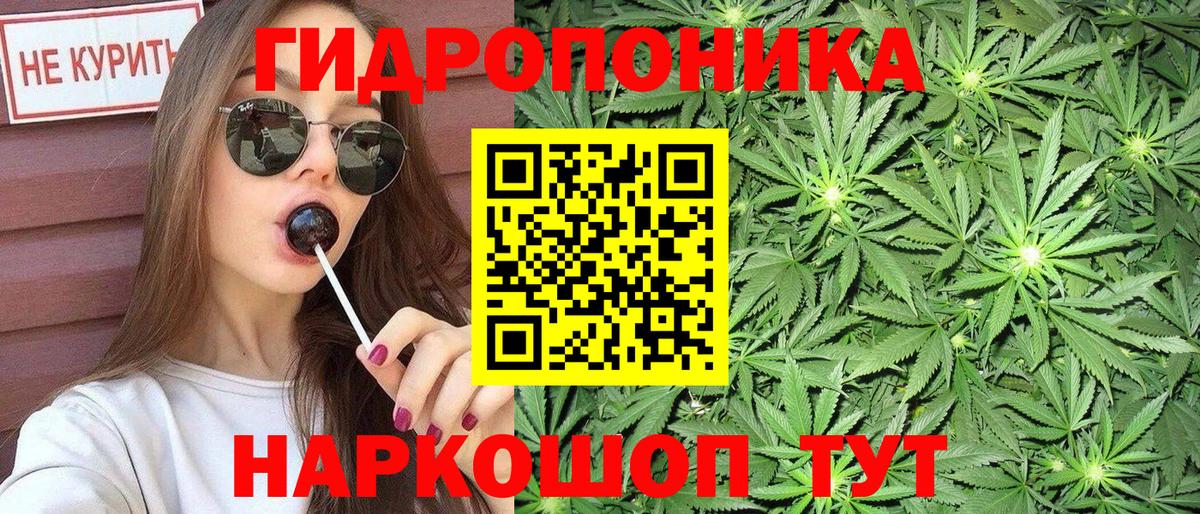 Бошки Шишки тримм Владимир